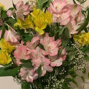 Meet your Posher, Courtney